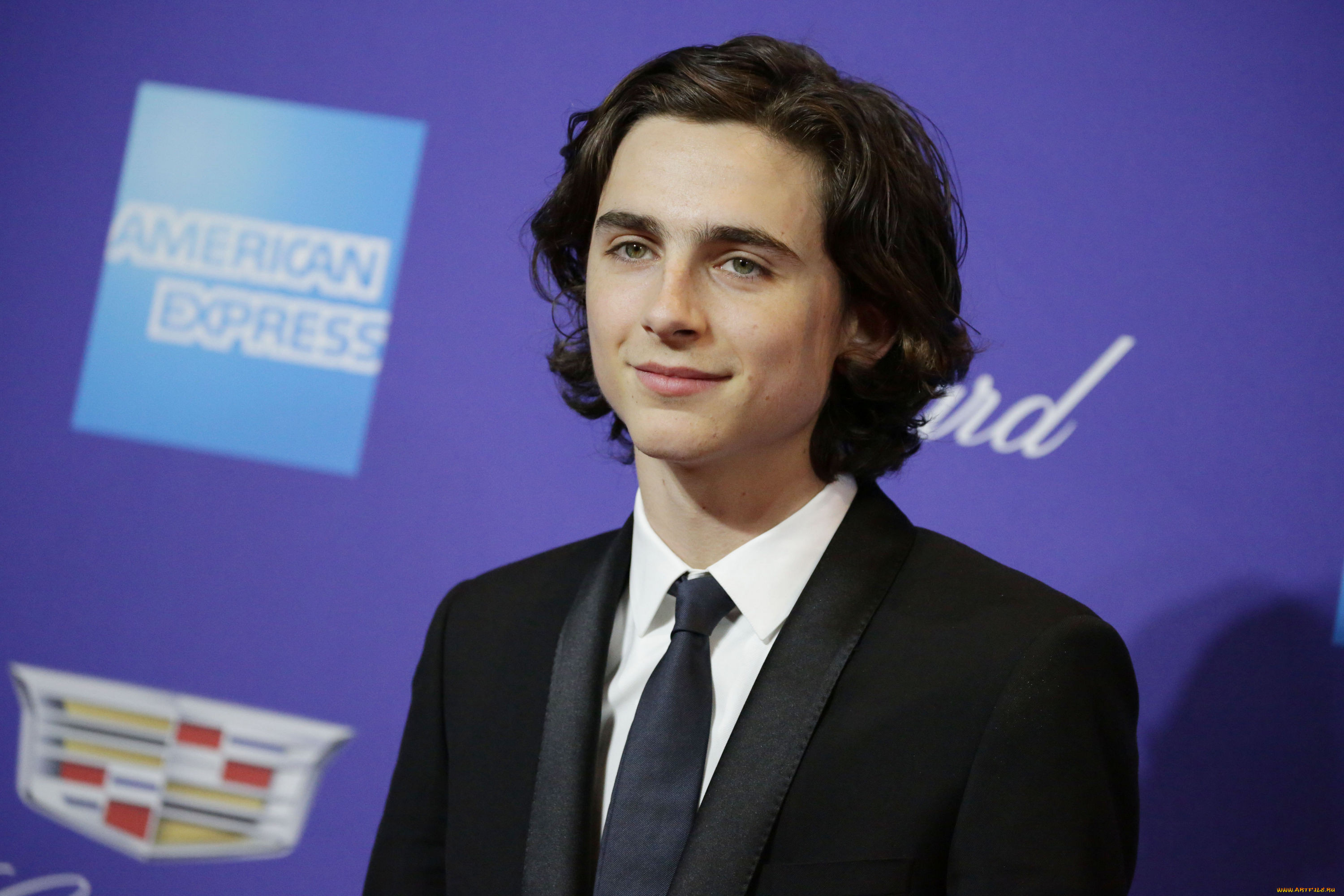 timothee chalamet, , , 